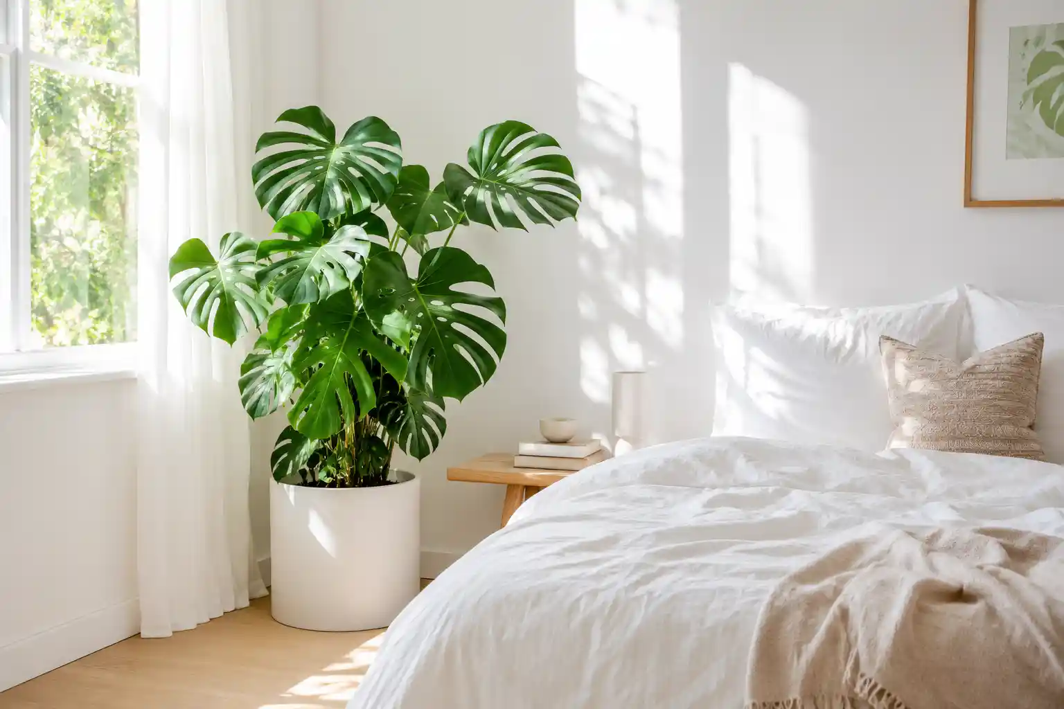 Indoor Tropical Greenery