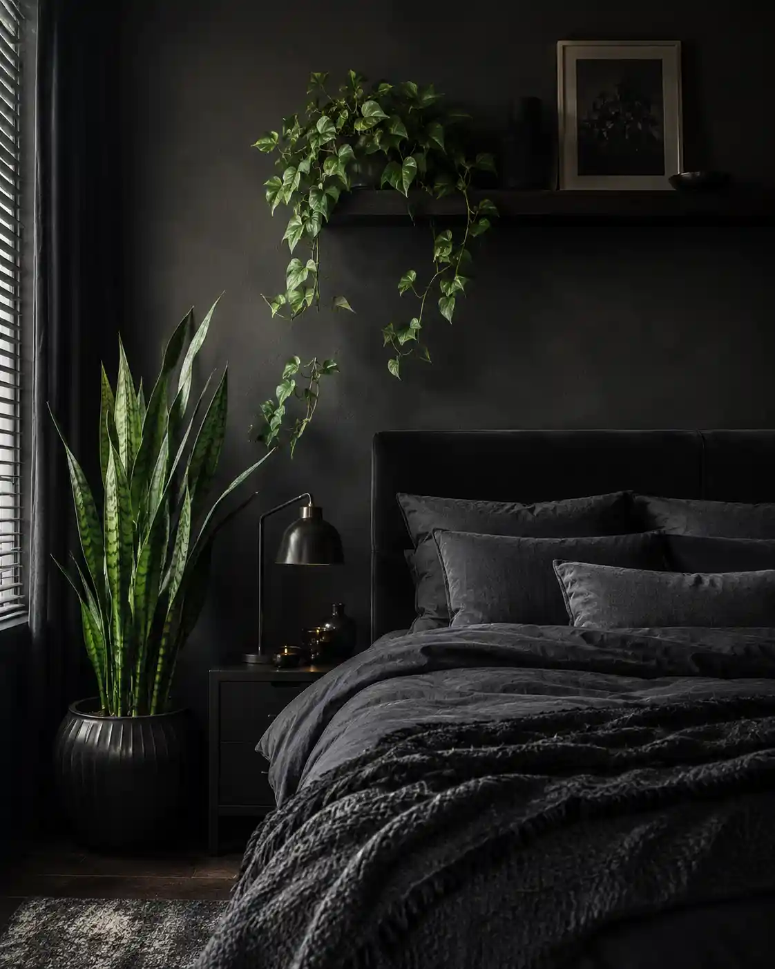 Bringing Life with Low-Light Greenery