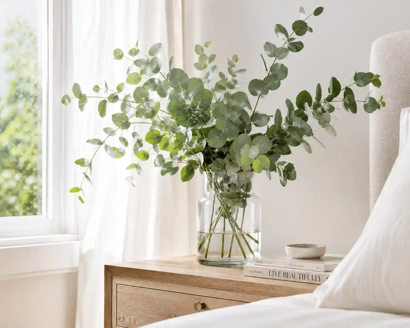 Fresh Eucalyptus Bunches
